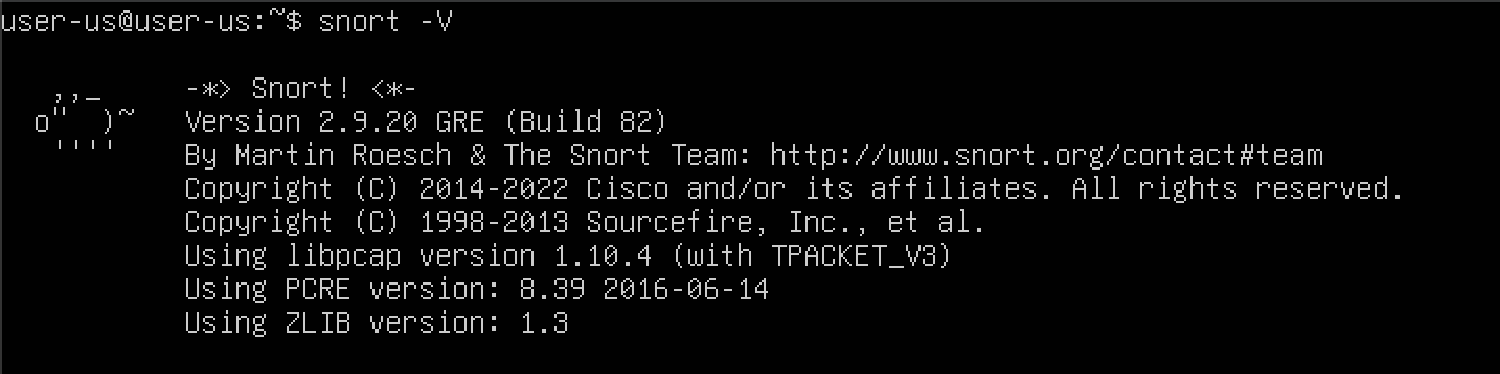 Ubuntu Kali - IDS Snort