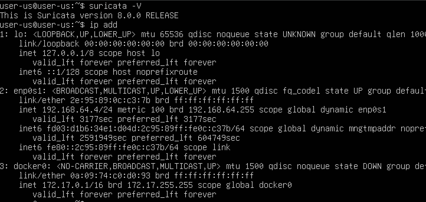 Ubuntu Kali - Suricata