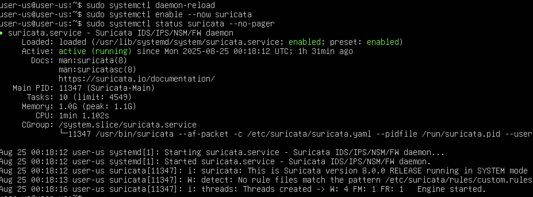 Ubuntu Kali - Suricata