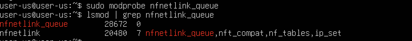 Ubuntu Kali - Suricata