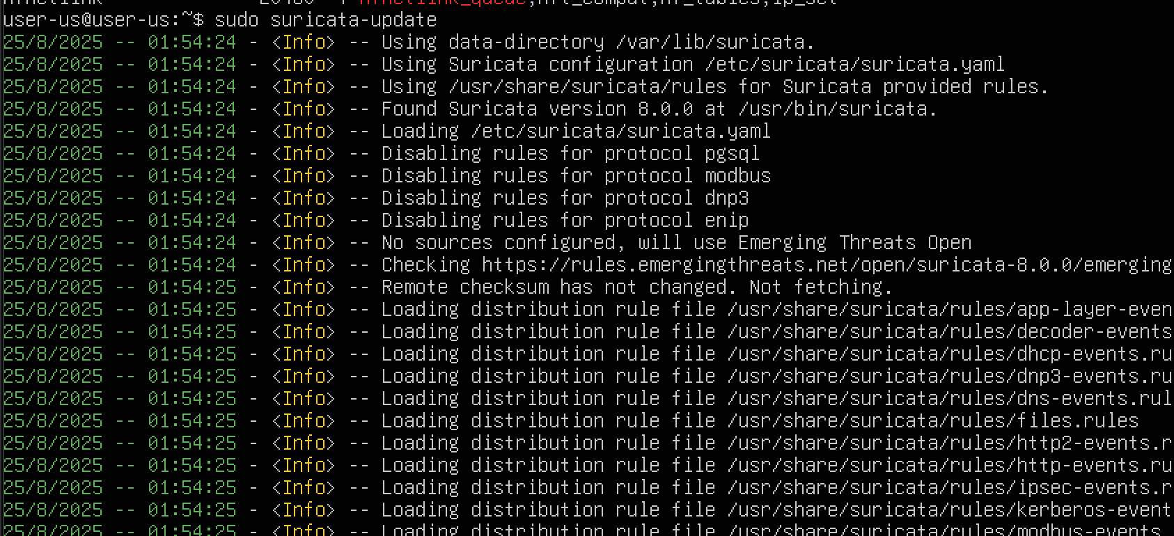 Ubuntu Kali - Suricata