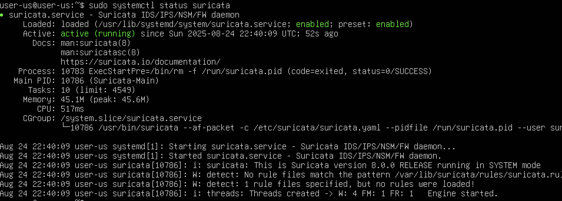 Ubuntu Kali - Suricata