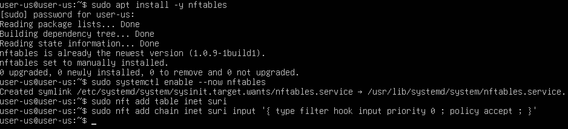 Ubuntu Kali - Suricata
