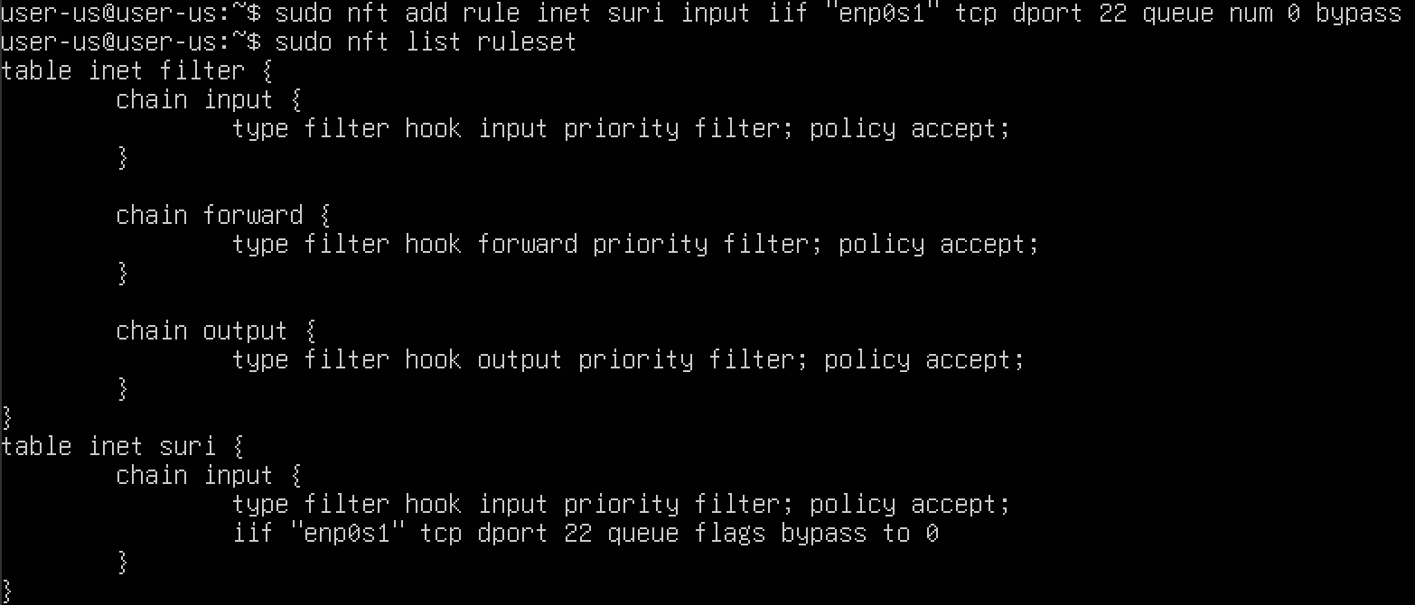 Ubuntu Kali - Suricata