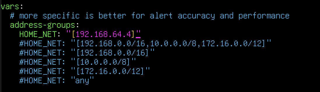 Ubuntu Kali - Suricata