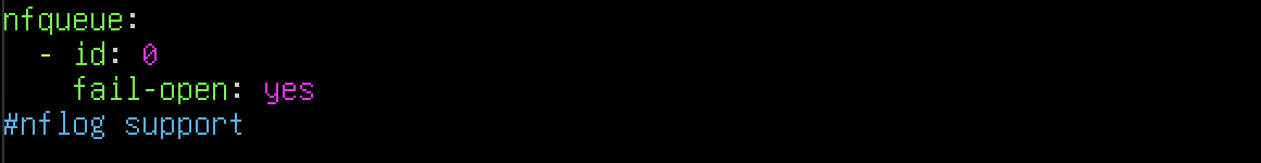 Ubuntu Kali - Suricata